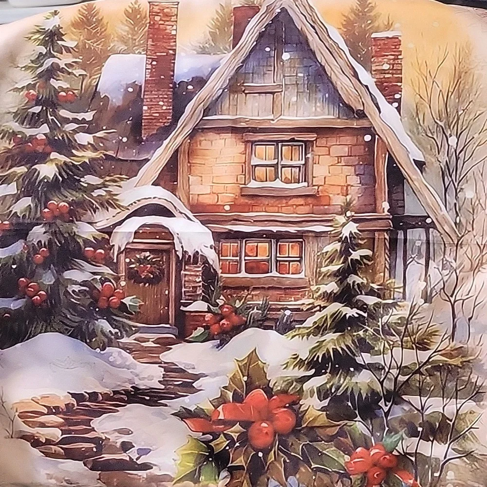 3 Festive Holiday Pillow Cover EUC